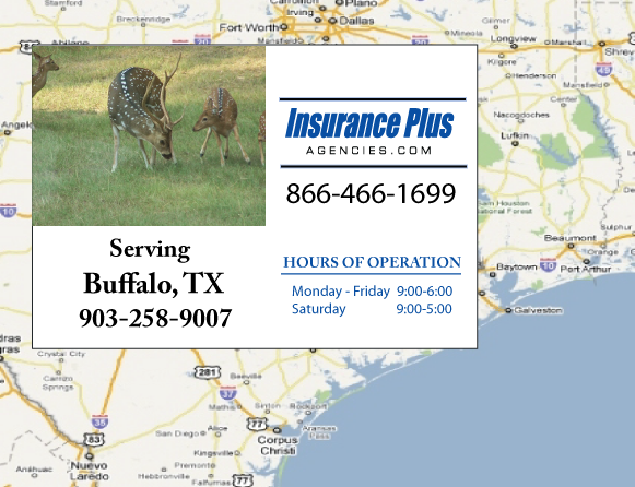 Insurance Plus Agencies of Texas (903)258-9007 is your Car Liability Insurance Agent in Buffalo, Texas.